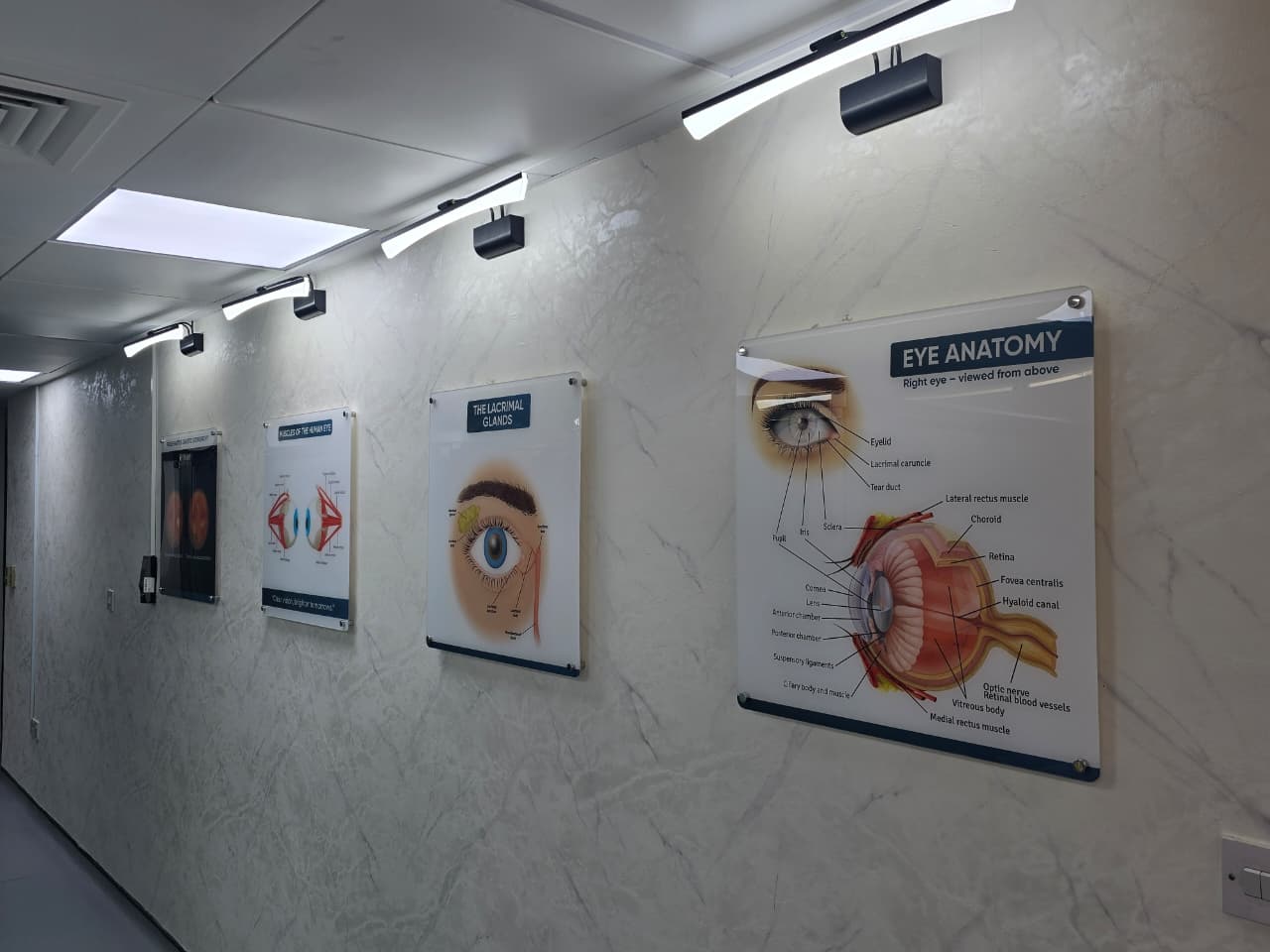 WhatsApp Image 2026-03-05 at 13.08.37